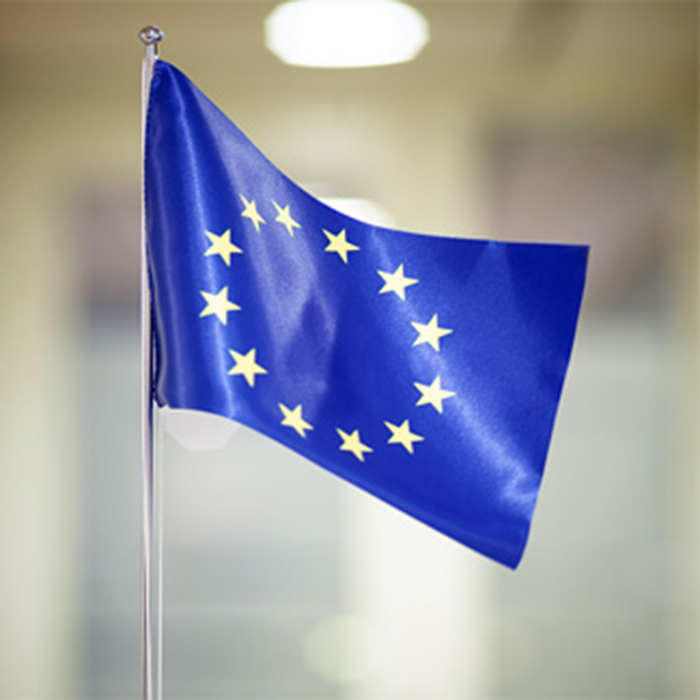 EUs flagga mot suddig bakgrund