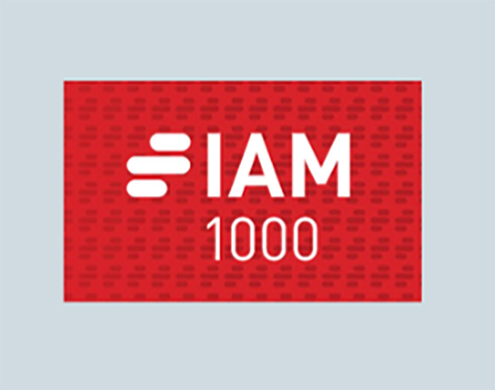 Logotyp för IAM1000